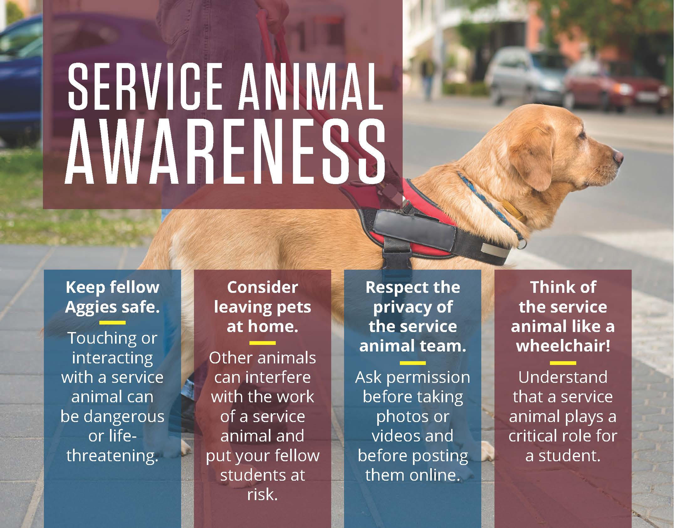 Services Animal Ettiquitte - long description - Disability Resources