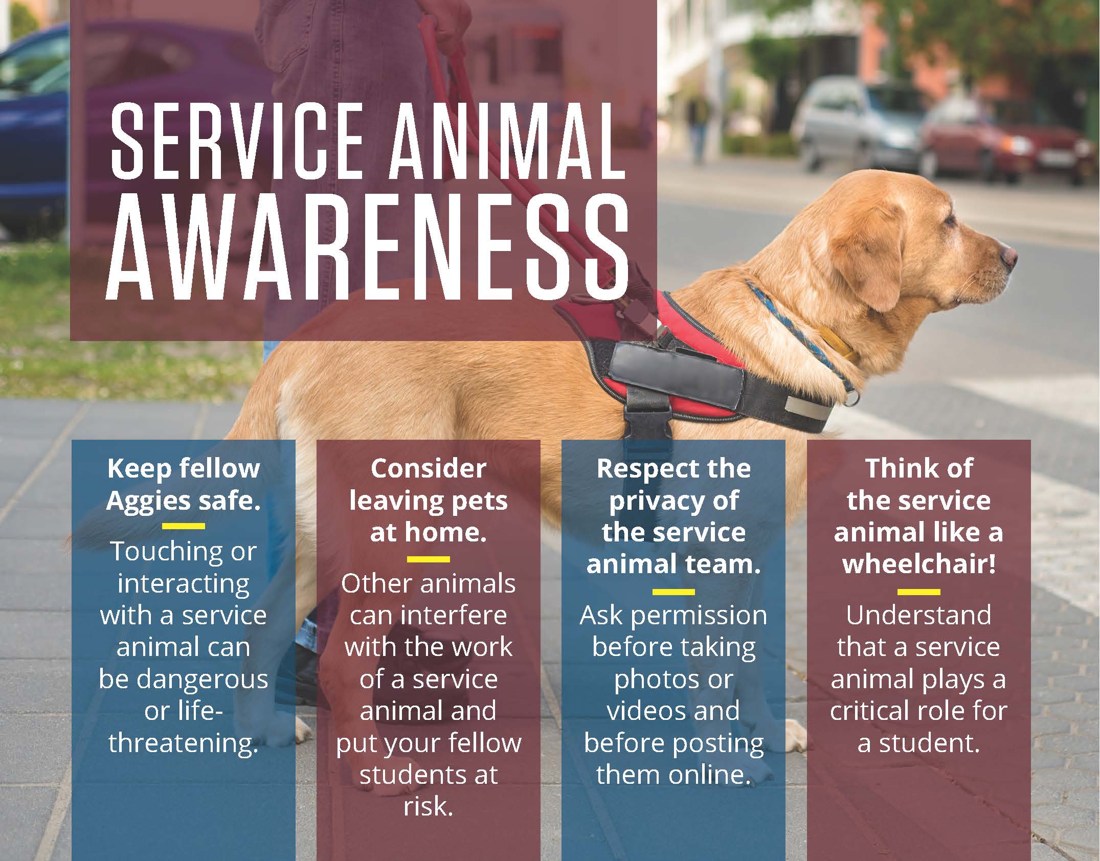 What Can Be Asked About A Service Dog