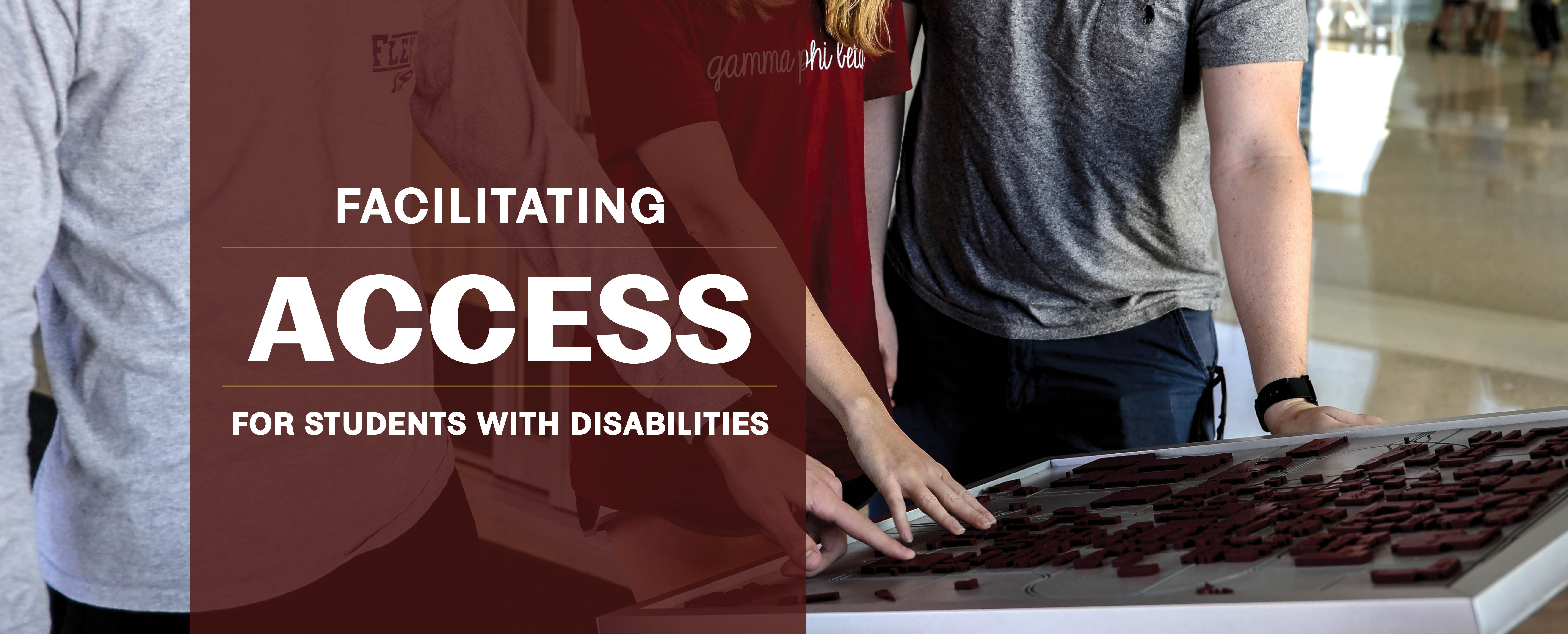 Facilitating Access For Students with Disabilities